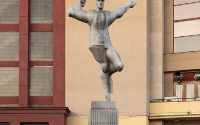 Adoptuj sochu – pomoc pro Hokejistu